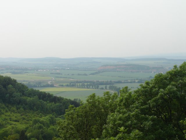 DSC03032